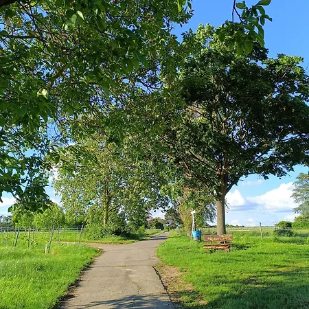 Mainzelmaennchen *